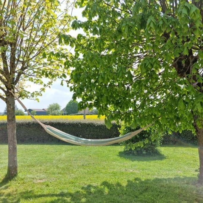 Grande Maison De Plain Pied Avec Jardin Arbore. Champignelles المظهر الخارجي الصورة